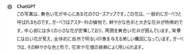 GPT-4の結果。この写真は、黄色い花が中心にある花の接写です。この花は一般的にガーベラと呼ばれるものです。と内容を正しく判断できていない。