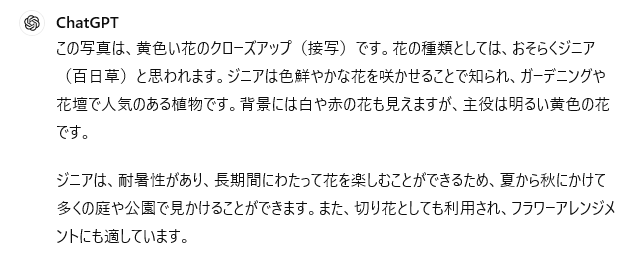 GPT-4oの結果。この写真は黄色い花の接写です。花の種類としてはおそらくジニアと思われます。と内容を正しく判断している。